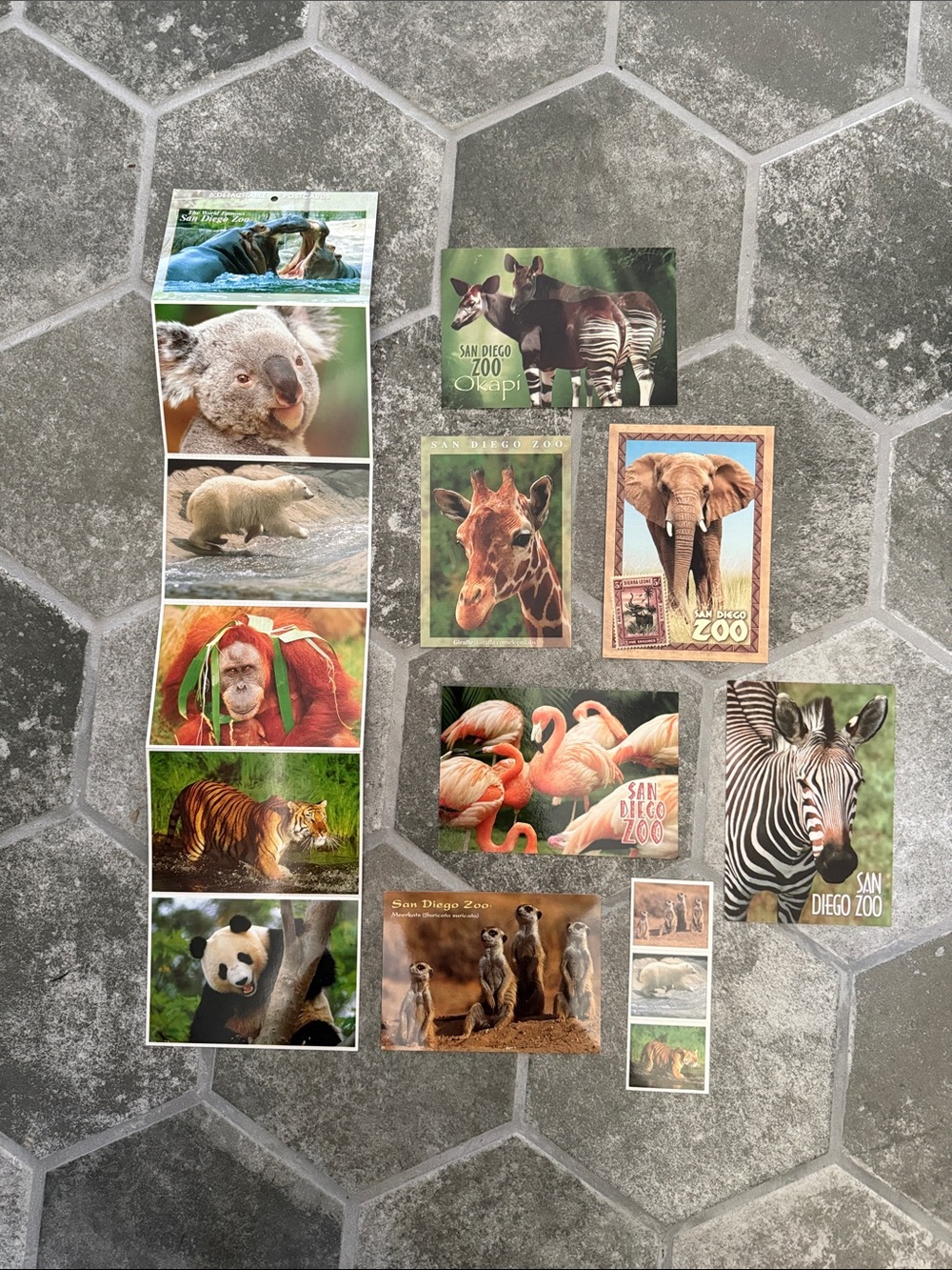 Vintage San Diego Zoo Animal. Postcard Set - 12 cards + 3 Stickers